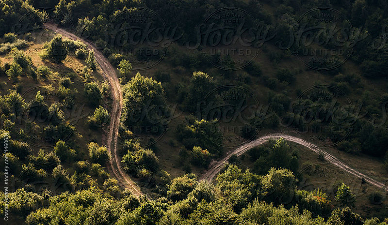 aerial_view_of_country_road