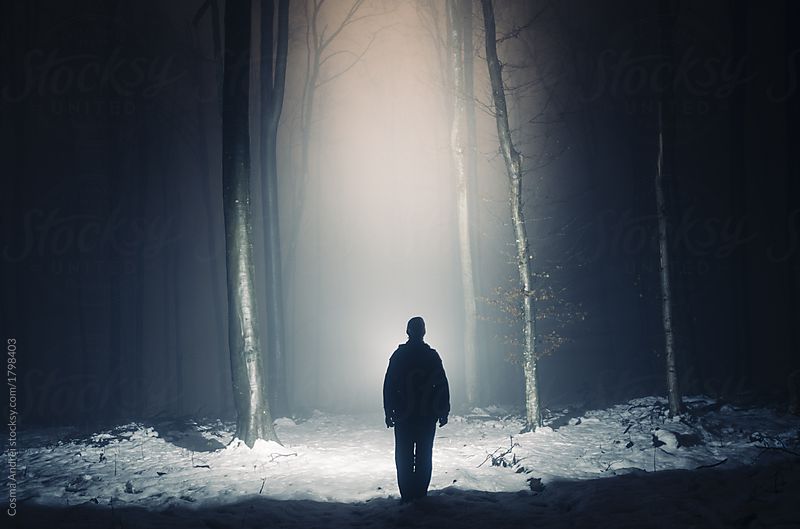 Man in surreal forest at night