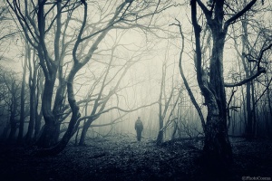 Mysterious spooky Halloween forest with man silhouette