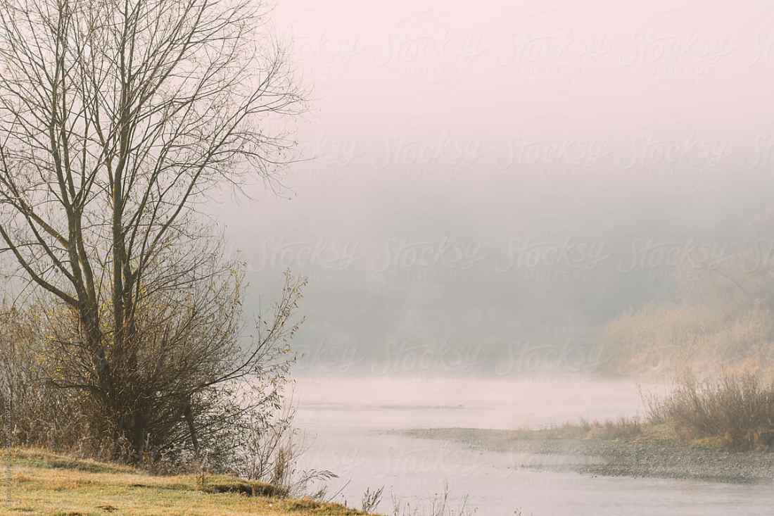 morning_lake_fog